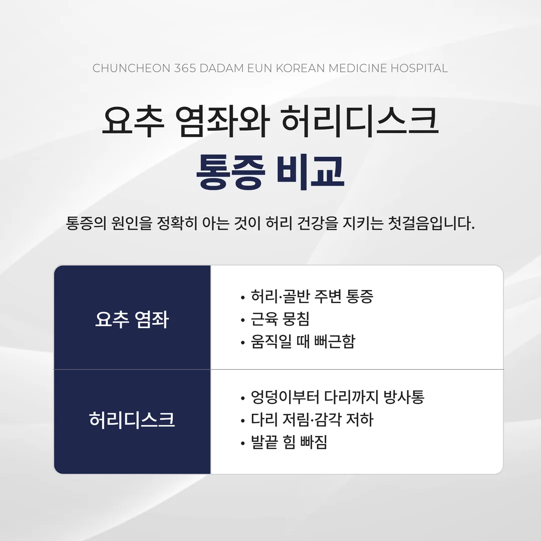 요추 염좌 허리디스크 통증 부위 비교