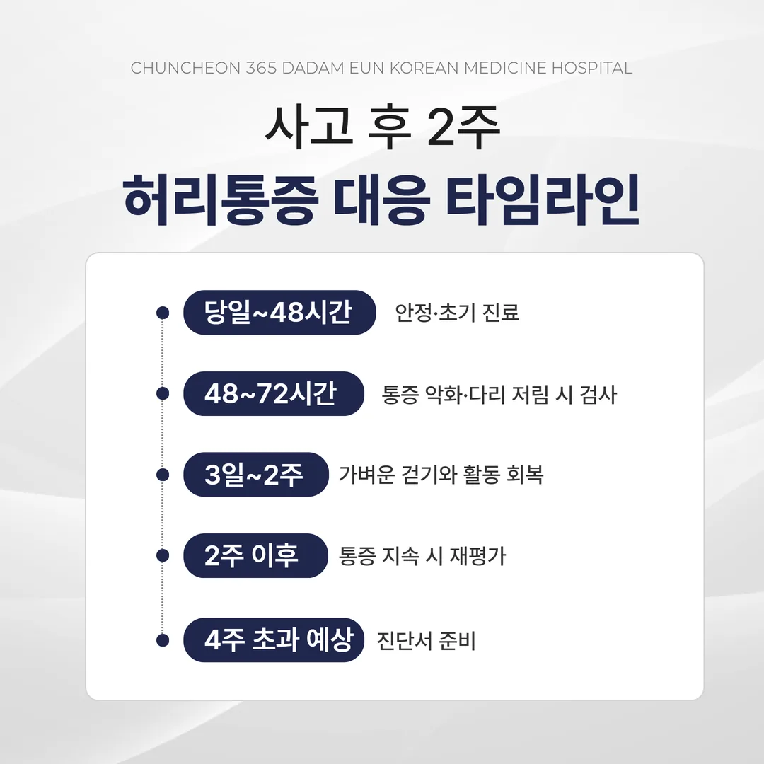 교통사고 허리통증 사고 후 2주 대응 타임라인