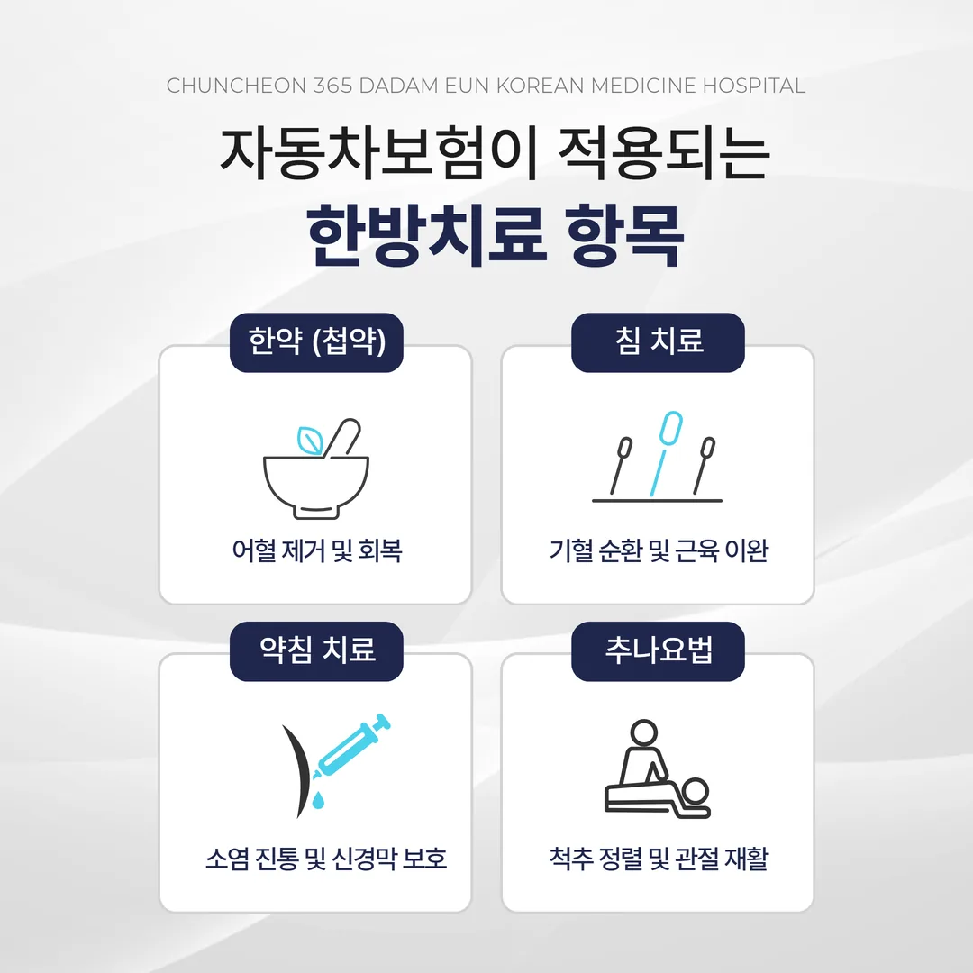 자동차보험 적용 한방치료 항목 인포그래픽