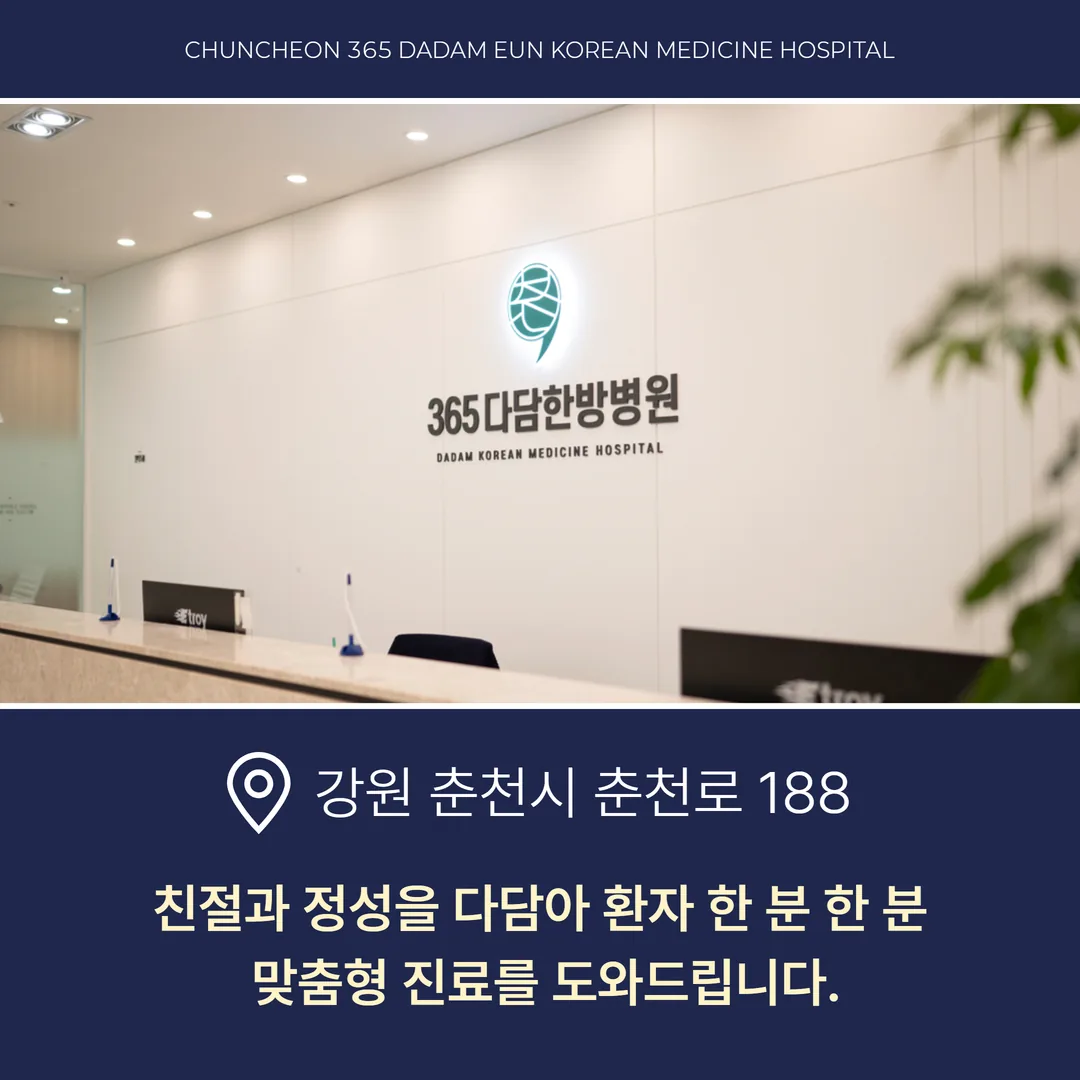 춘천365다담은한방병원이 위치한 팔호광장 앞 메가시티 건물
