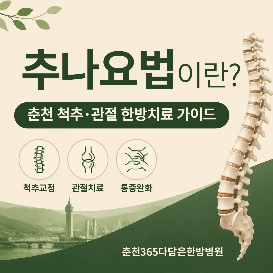 추나요법이란? 춘천 척추·관절 한방치료 완벽 가이드