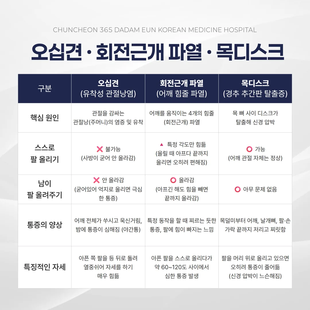 오십견 회전근개 파열 목디스크 어깨 통증 감별 비교 인포그래픽
