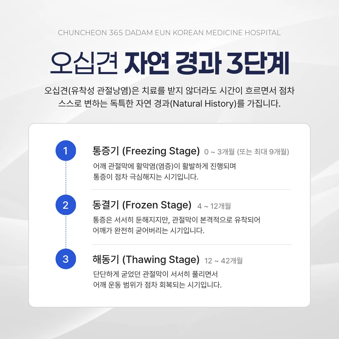 오십견 단계별 자연경과 통증기 동결기 해동기 기간 타임라인