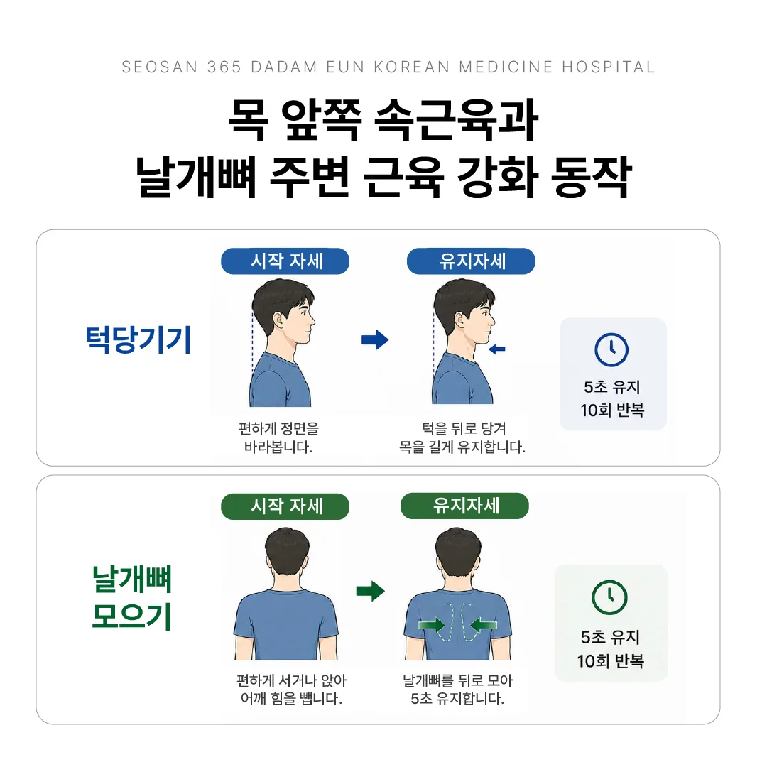 목 앞쪽 속근육과 날개뼈 주변 근육 강화 동작