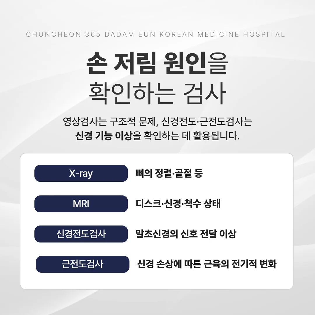 영상 검사와 전기생리검사가 각각 답하는 질문을 정리한 도표