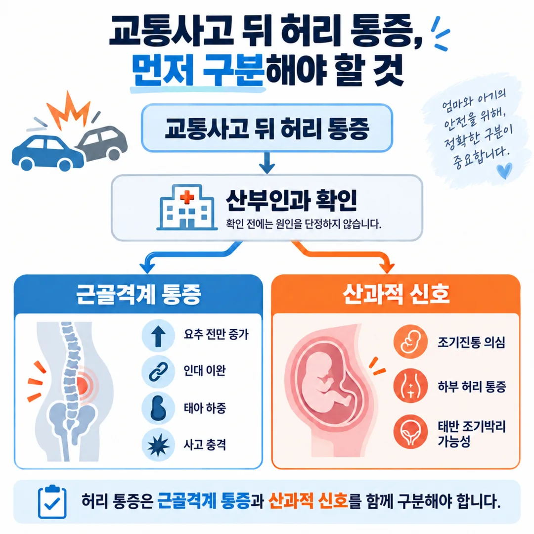 교통사고 후 허리 통증이 근골격계 통증과 산과적 신호 두 갈래로 갈리고 산부인과 확인이 그 갈림길이 되는 분기도