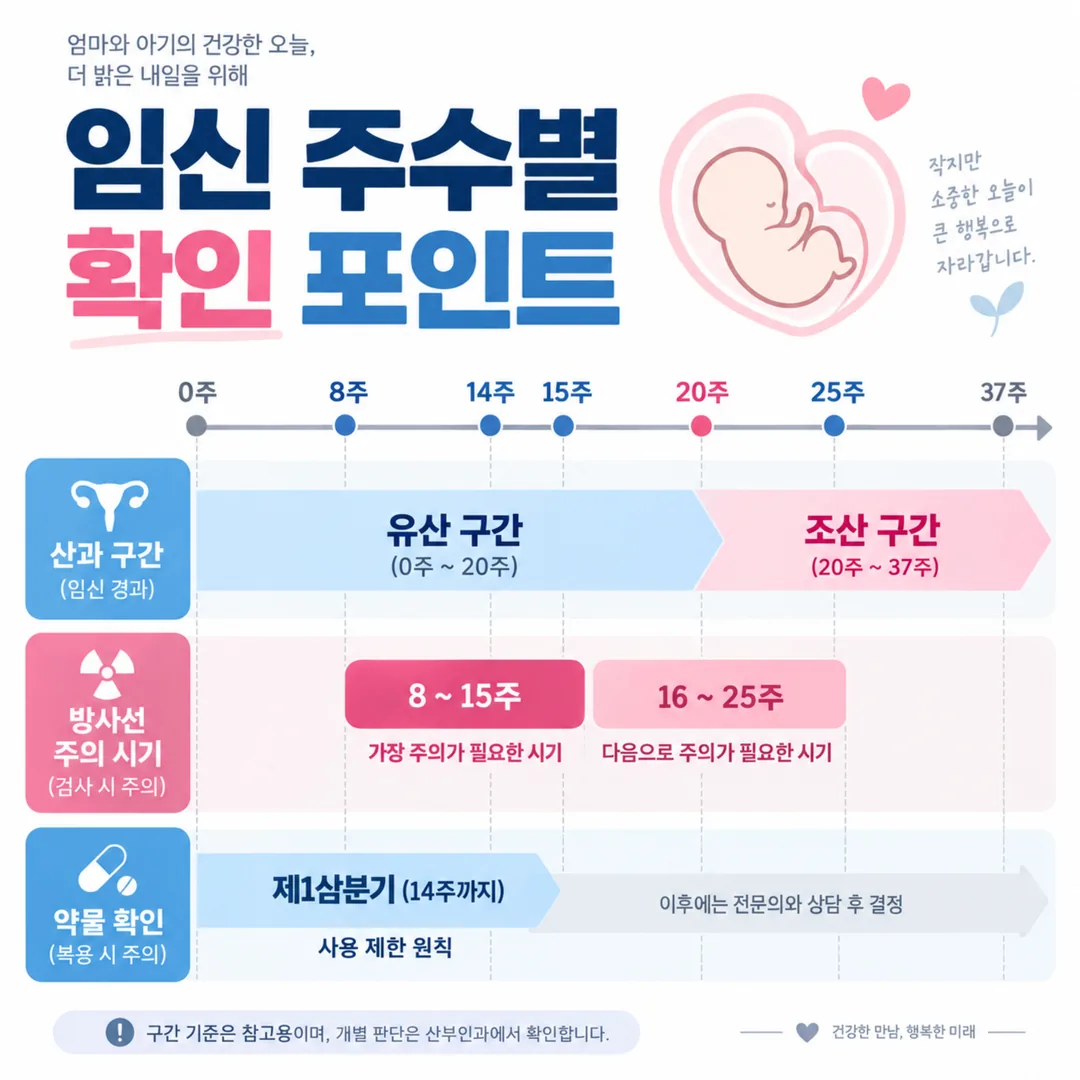 임신 주수 축 위에 유산과 조산의 경계 20주, 방사선 노출 위험 시기 8~15주와 16~25주, 약물 제한 원칙이 걸리는 제1삼분기 14주를 겹쳐 표시한 도표