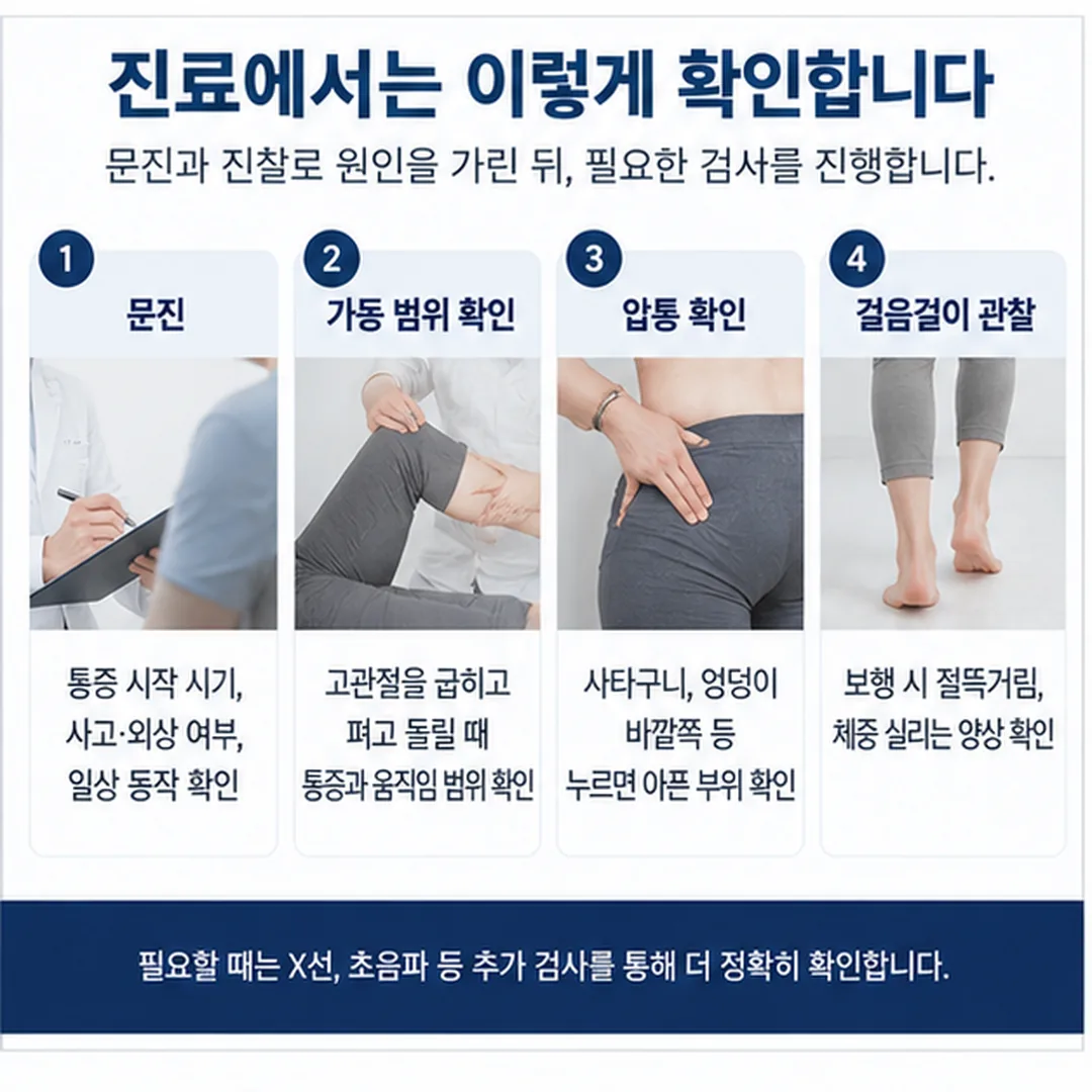 진료에서 확인하는 네 가지 관찰이 하나의 판단으로 모이는 그림