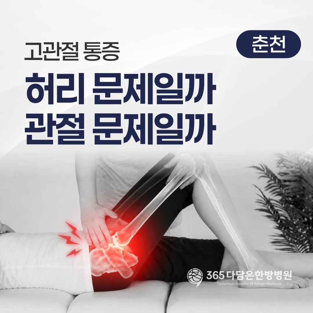 고관절 통증, 허리 문제일까 관절 문제일까 — 감별 순서
