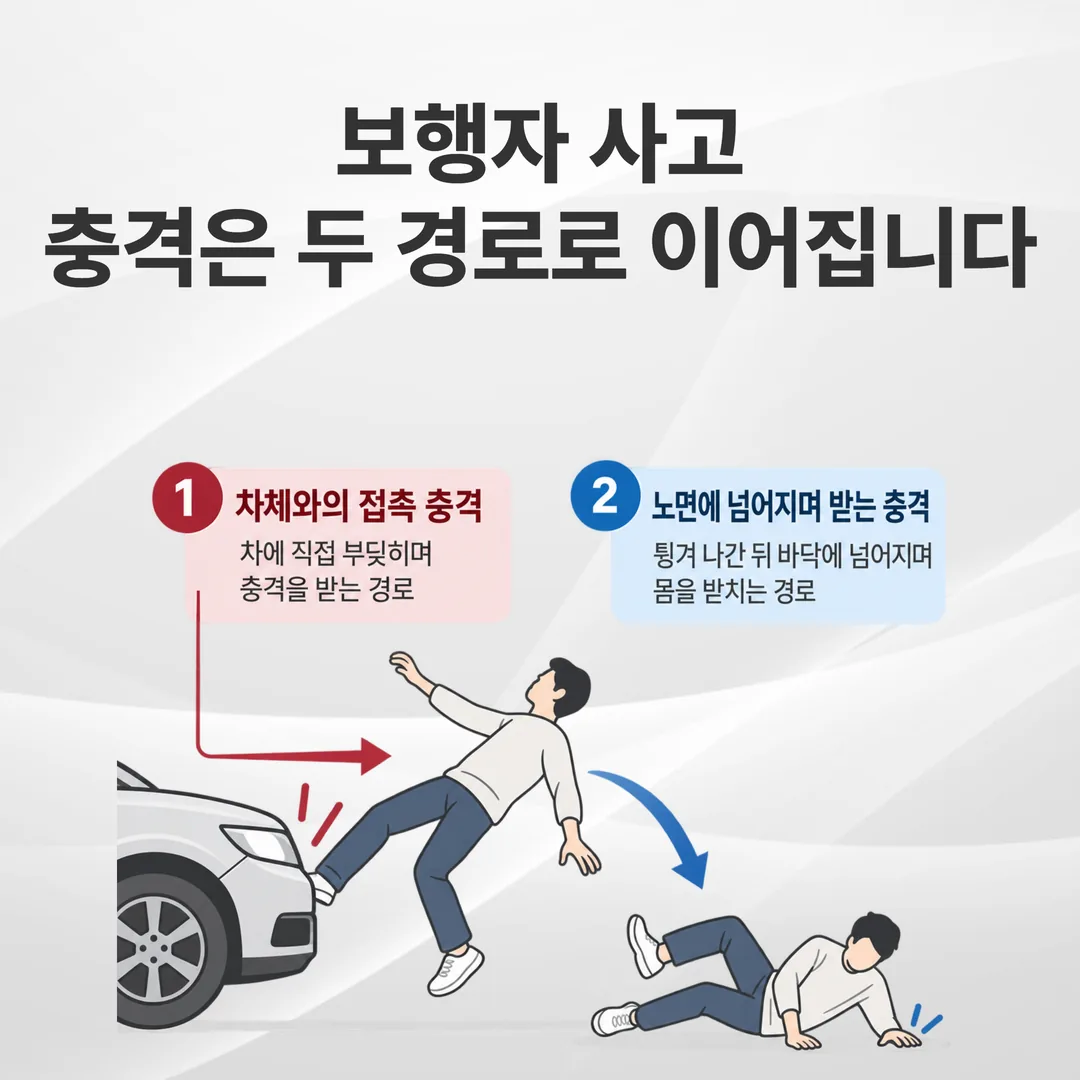 보행자 사고에서 차체가 닿는 부위와 노면에 넘어지며 몸을 받치는 부위를 구분한 개념도
