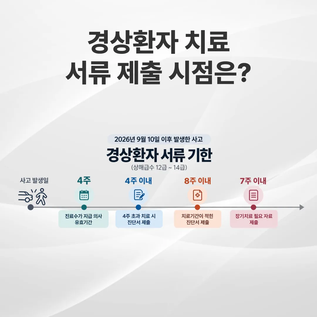 경상환자의 진단서와 자료 제출 기한을 사고 발생일 기준 시간축으로 나타낸 도표