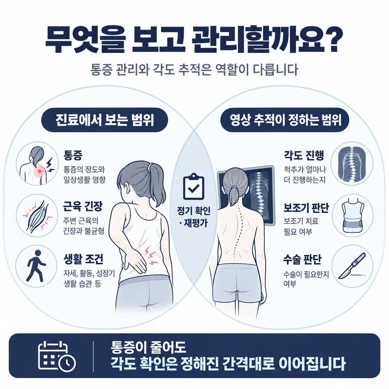 성장기 척추측만증에서 한방 진료가 보는 범위와 영상 추적이 정하는 범위를 나눈 경계 도식