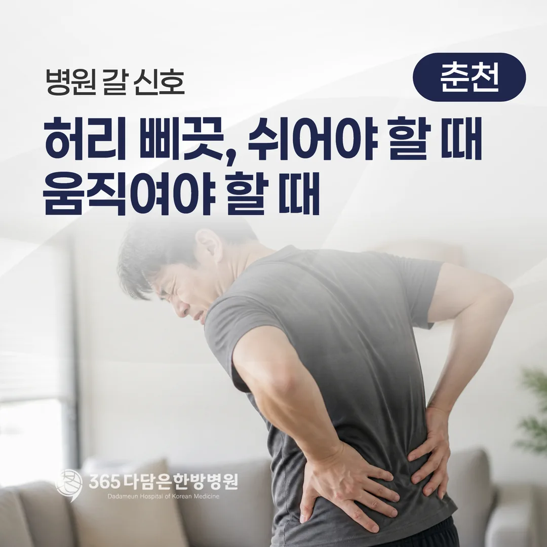 허리 삐끗, 쉬어야 할 때와 움직여야 할 때 — 병원 갈 신호